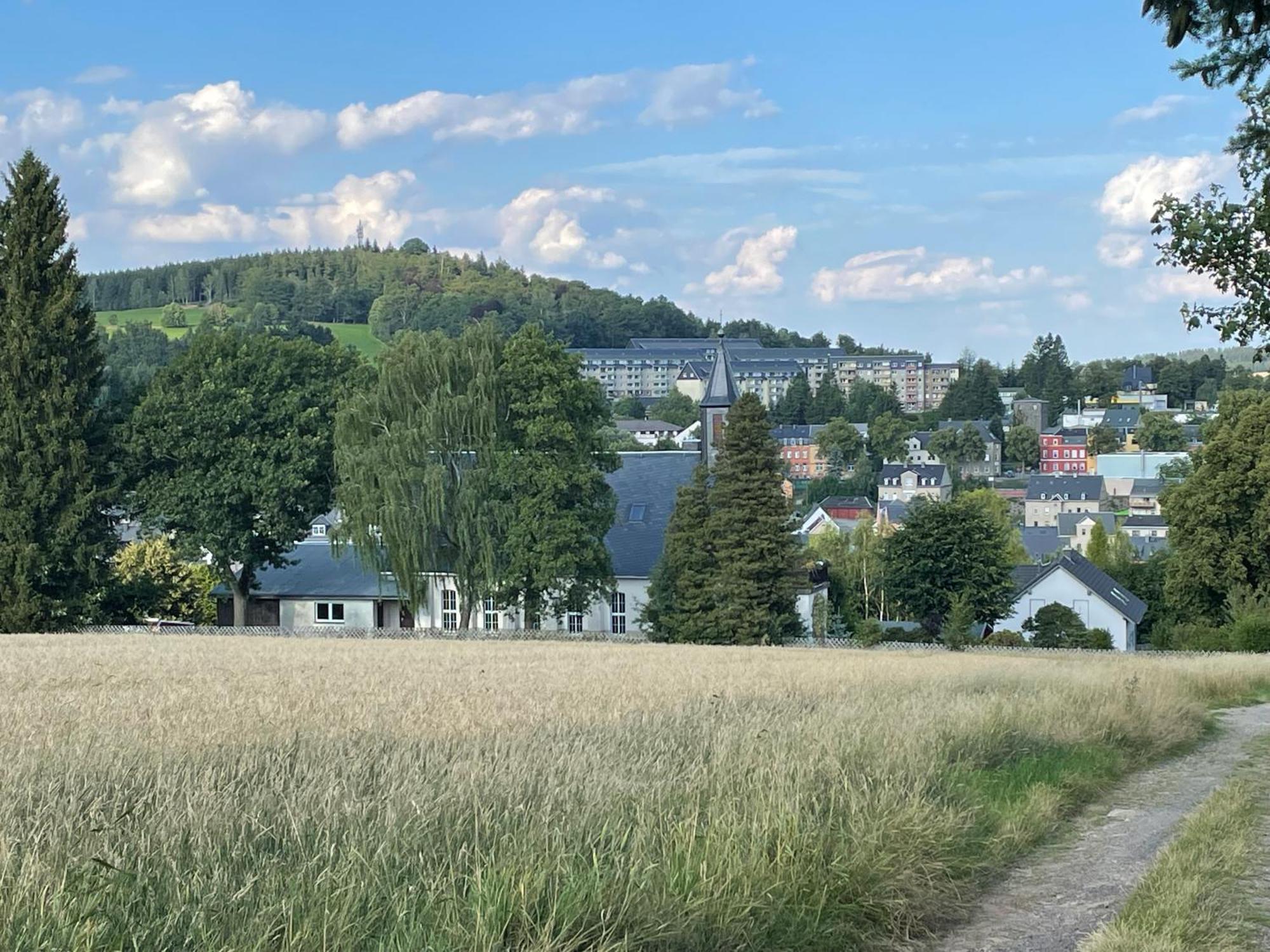 Ferienwohnung Greifenbach, Gartennutzung, Haustiere Willkommen Geyer Luaran gambar