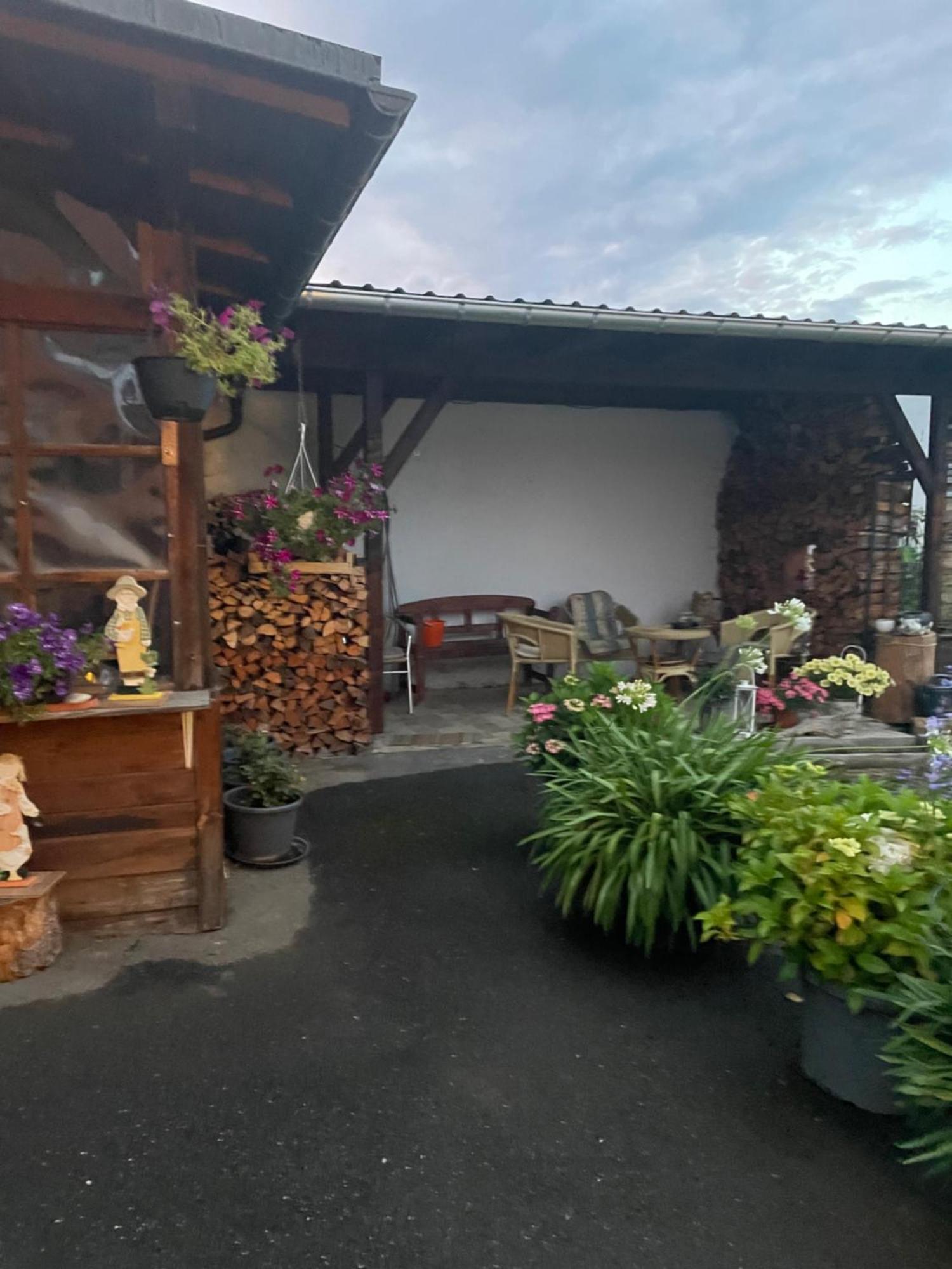 Ferienwohnung Greifenbach, Gartennutzung, Haustiere Willkommen Geyer Luaran gambar