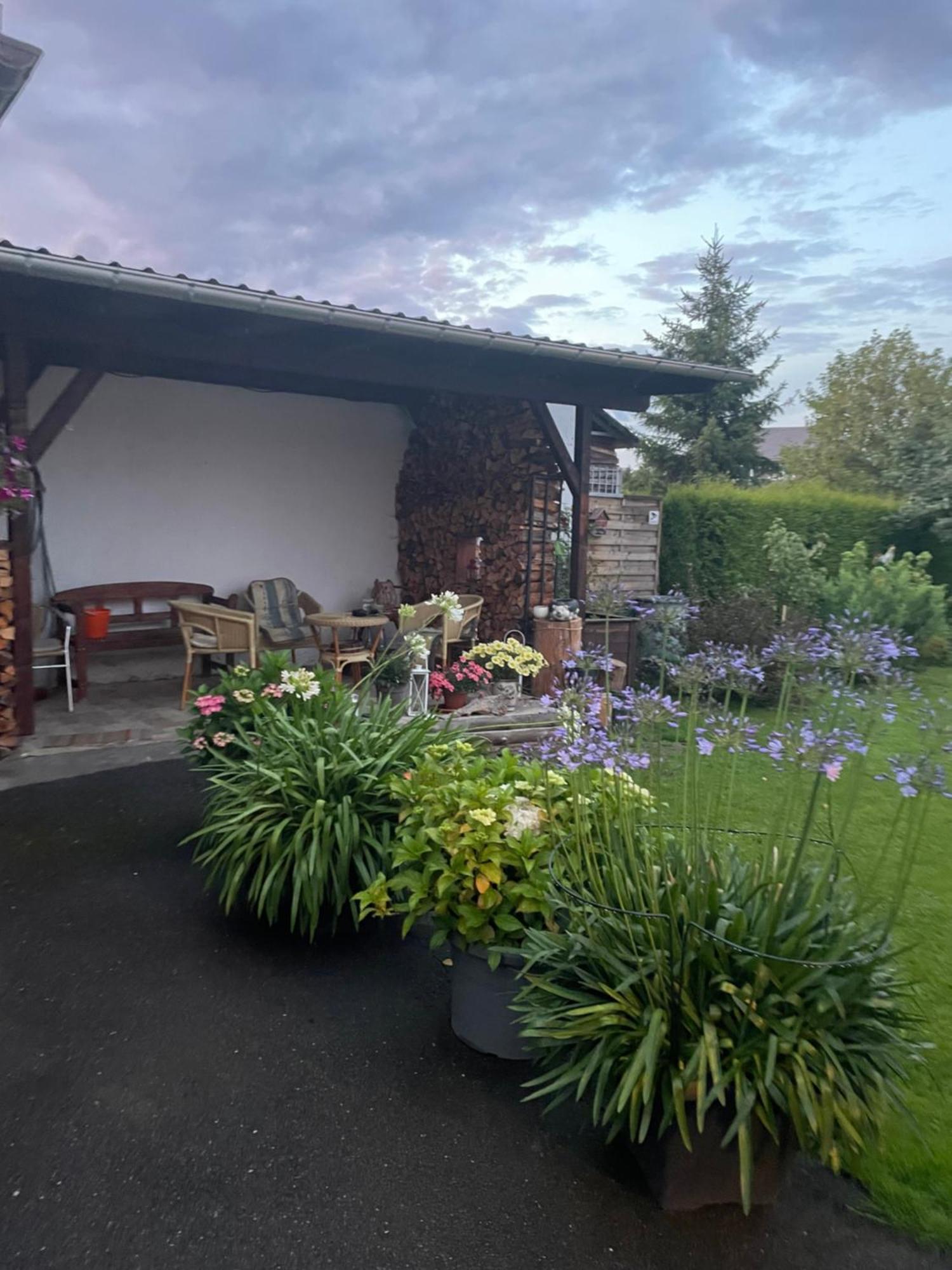 Ferienwohnung Greifenbach, Gartennutzung, Haustiere Willkommen Geyer Luaran gambar