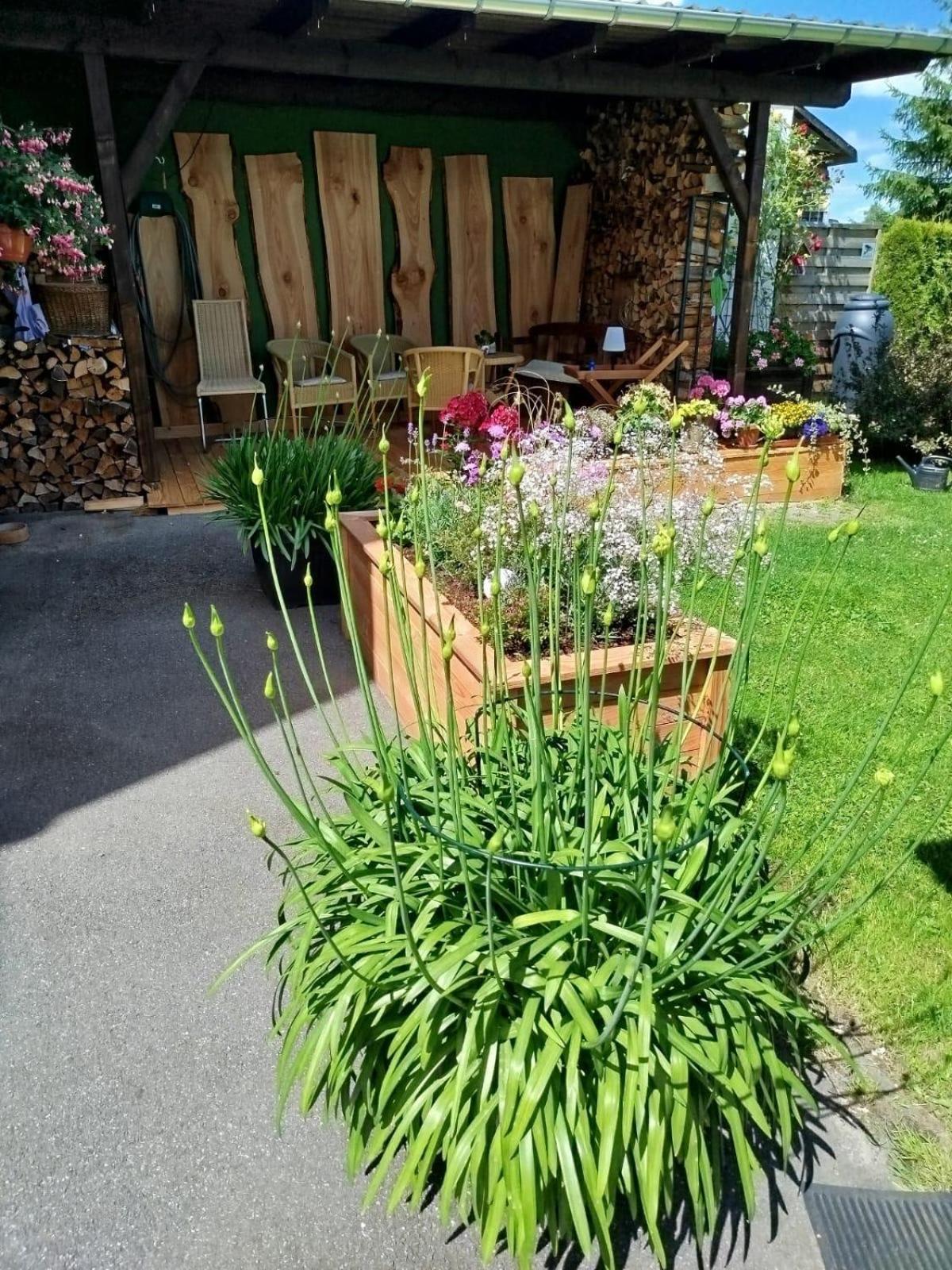 Ferienwohnung Greifenbach, Gartennutzung, Haustiere Willkommen Geyer Luaran gambar